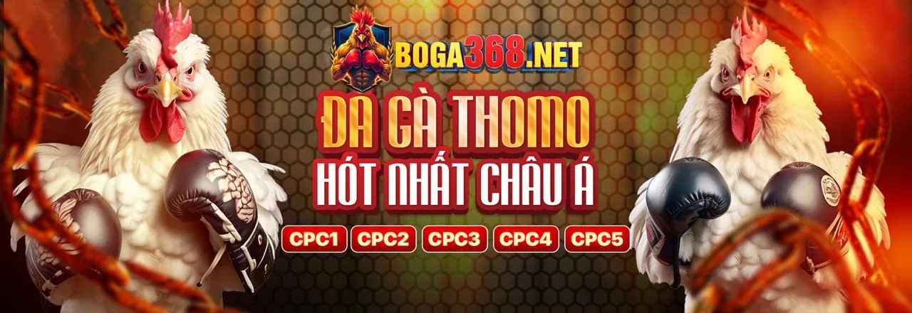 Đá gà trực tuyến l33 chính thức