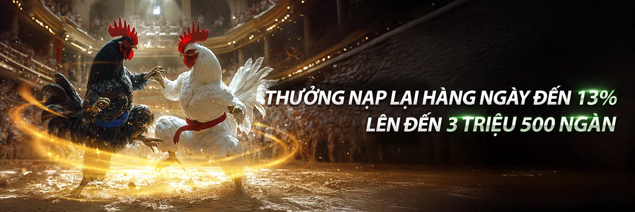 Hình ảnh chính l33 chính thức